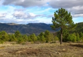Terreny no urbanitzable en venda a la España, Moratalla, ref.: TR112429 foto