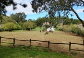 Suelo urbano en venta en la España, Cicero, ref: TR354907 foto