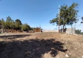 Casa de camp amb terreny en venda a la España, La Orotava, ref.: TR355874 foto