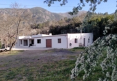 Casa de camp amb terreny en venda a la España, La Orotava, ref.: TR355874 foto