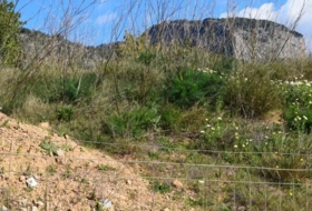 Alaró 227&nbsp;м²