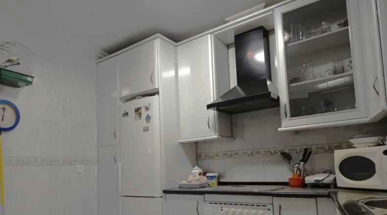 Sevilla - Castilleja de la Cuesta - 481m2