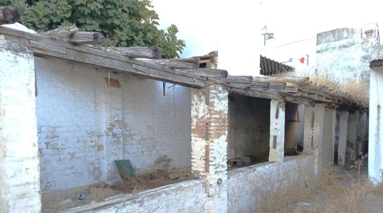 Sevilla - Castilleja de la Cuesta - 481m2