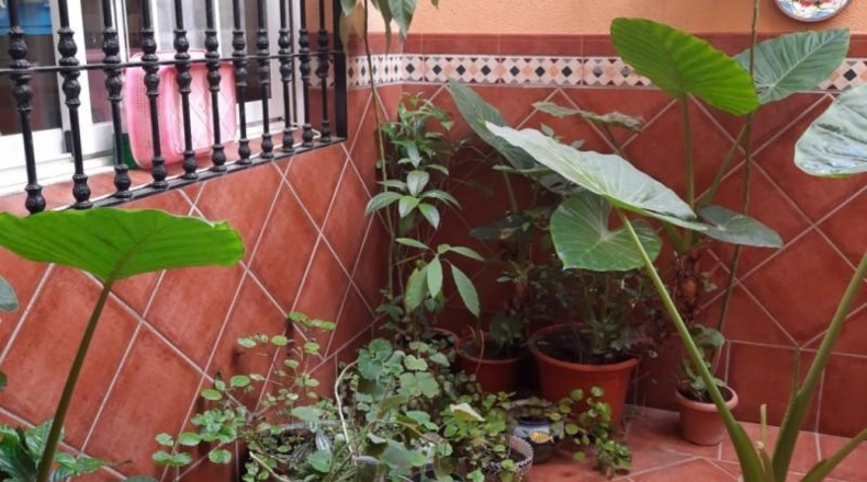 Córdoba - Córdoba - 153m2
