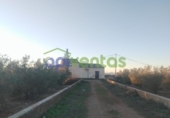Casa de camp amb terreny en venda a la España, Lorca, ref.: TR372081 foto