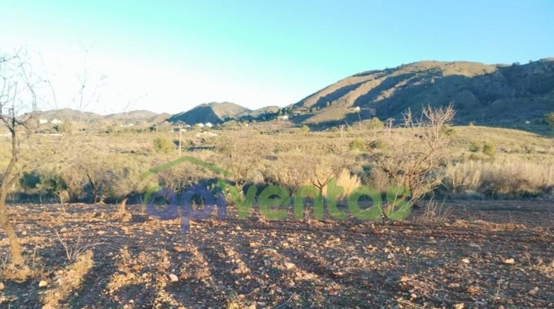 Múrcia - Lorca - 610000m2
