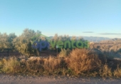 Casa de camp amb terreny en venda a la España, Lorca, ref.: TR372081 foto