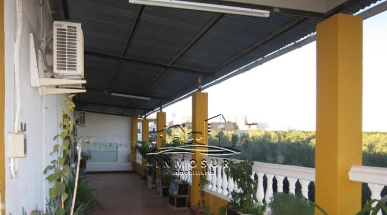 Córdoba - Lucena - 700m2