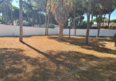 Terreny no urbanitzable en venda a la España, Chiclana de la Frontera, ref.: TR378972 foto