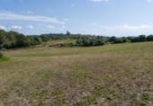 Non-developable land for sale on España, Ariany, ref: TR314827 photo