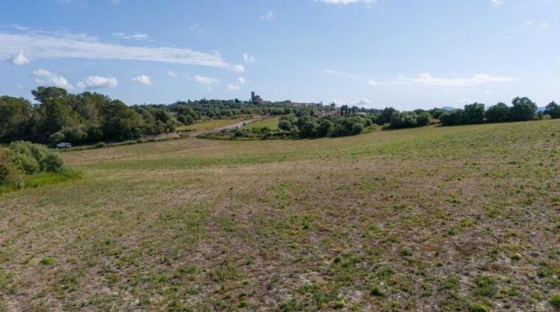 Balearic Islands - Ariany - 28000m2