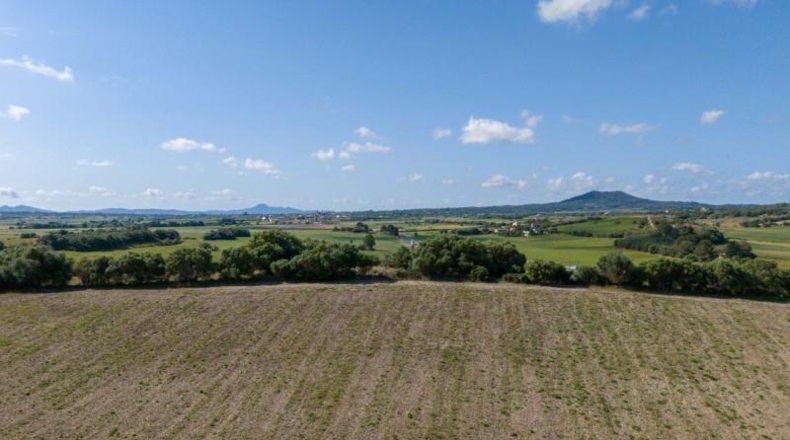 Balearic Islands - Ariany - 28000m2