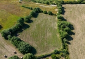Non-developable land for sale on España, Ariany, ref: TR314827 photo