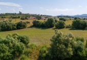 Non-developable land for sale on España, Ariany, ref: TR314827 photo
