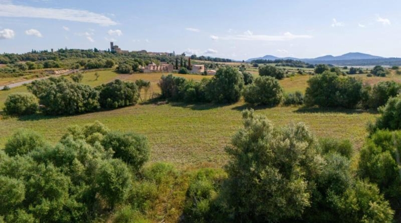 Balearic Islands - Ariany - 28000m2