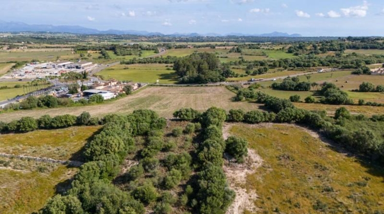 Balearic Islands - Ariany - 28000m2