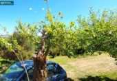 Finca rústica en venda a la España, Santiago de Compostel·la, ref.: TR327893 foto