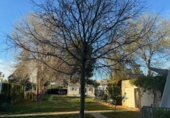 Casa amb terreny en venda a la España, Mairena del Aljarafe, ref.: TR269254 foto