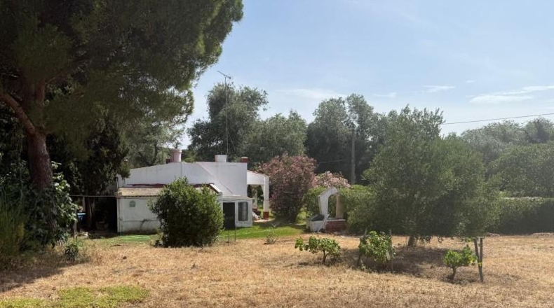 Cádiz - Vejer de la Frontera - 4500m2