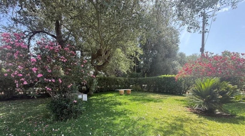 Cádiz - Vejer de la Frontera - 4500m2