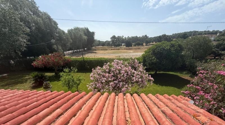 Cádiz - Vejer de la Frontera - 4500m2