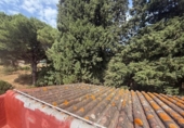 Casa de camp amb terreny en venda a la España, Vejer de la Frontera, ref.: TR262720 foto