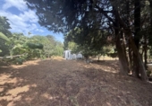 Casa de camp amb terreny en venda a la España, Vejer de la Frontera, ref.: TR262720 foto