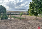 Casa de camp amb terreny en venda a la España, Alcolea, ref.: TR342843 foto