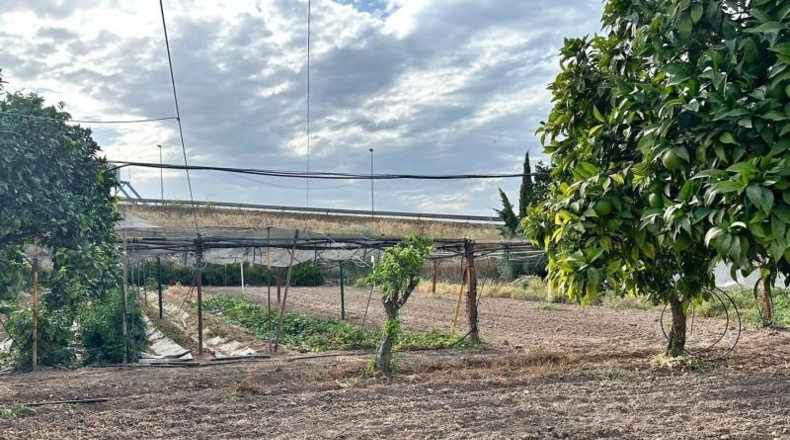 Cordova - Córdoba - 7280m2