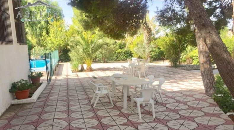 Alicante - Aspe - 14000m2