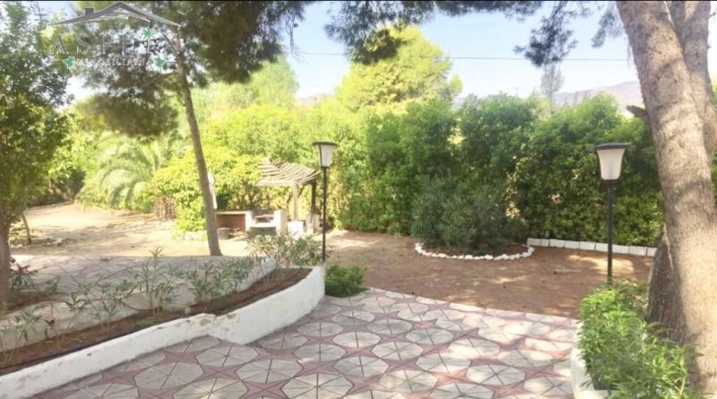 Alicante - Aspe - 14000m2