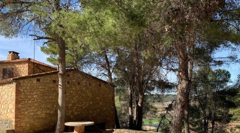 Teruel - Torre del Compte - 409039m2