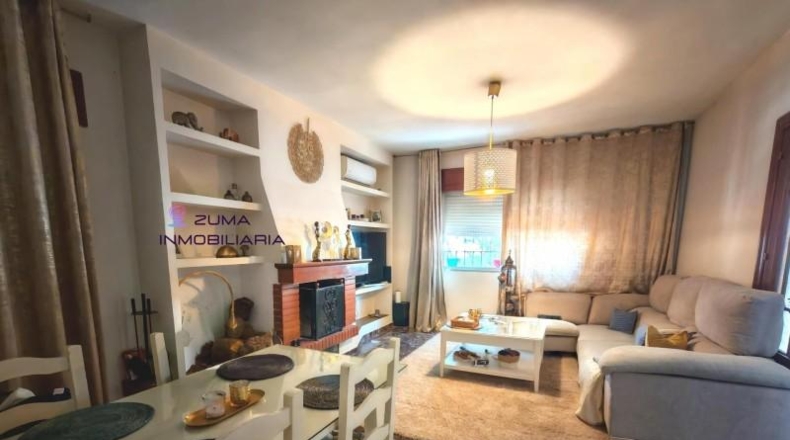 Málaga - Málaga - 240m2