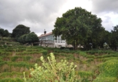 Casa de camp amb terreny en venda a la España, Vilagarcía, ref.: TR219120 foto