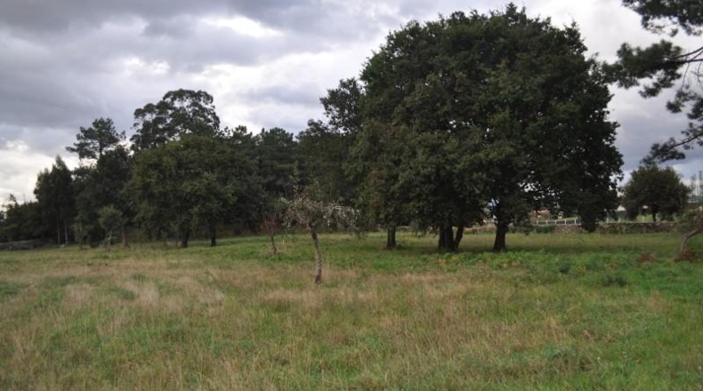 Pontevedra - Vilagarcía de Arousa - 220m2