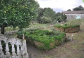 Casa de camp amb terreny en venda a la España, Vilagarcía, ref.: TR219120 foto