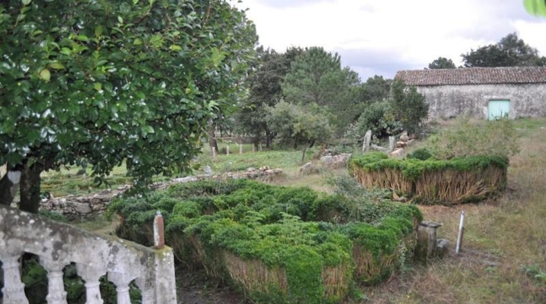 Pontevedra - Vilagarcía de Arousa - 220m2