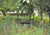 Casa de camp amb terreny en venda a la España, Vilagarcía, ref.: TR219120 foto
