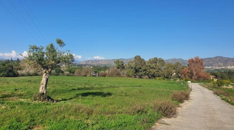 Malaga - Alhaurín de la Torre - 37000m2