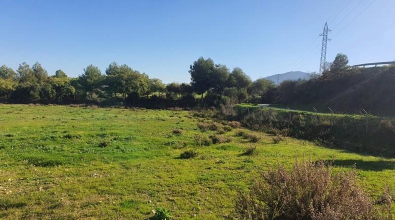 Malaga - Alhaurín de la Torre - 37000m2