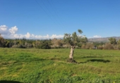 Terreny no urbanitzable en venda a la España, Alhaurín de la Torre, ref.: TR221126 foto