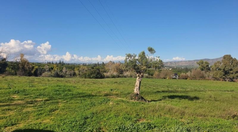 Malaga - Alhaurín de la Torre - 37000m2