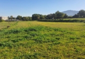 Terreny no urbanitzable en venda a la España, Alhaurín de la Torre, ref.: TR221126 foto