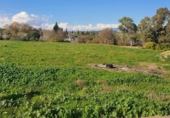 Terreny no urbanitzable en venda a la España, Alhaurín de la Torre, ref.: TR221126 foto