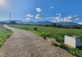 Terreny no urbanitzable en venda a la España, Alhaurín de la Torre, ref.: TR221126 foto