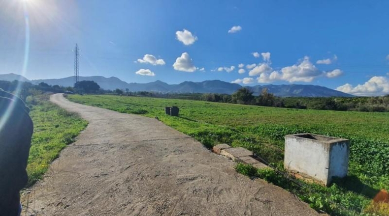 Malaga - Alhaurín de la Torre - 37000m2