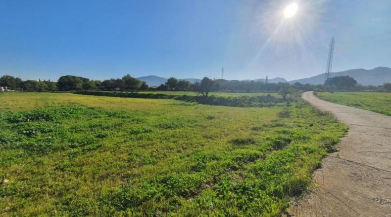 Malaga - Alhaurín de la Torre - 37000m2
