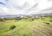 Parcel·la urbanitzable en venda a la España, Los Realejos, ref.: TR314799 foto