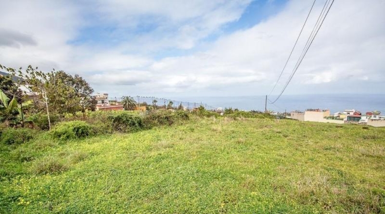 Santa Cruz de Tenerife - La Montañeta - 29588m2