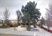 Casa de camp amb terreny en venda a la España, Sanlúcar de Barrameda, ref.: TR242469 foto